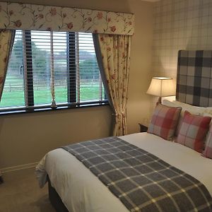 King Room Garden View